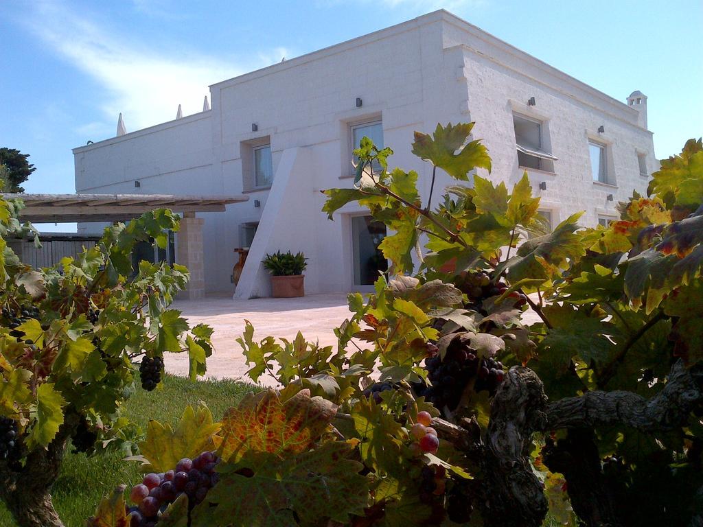 مونتالبانو Masseria Ancella المظهر الخارجي الصورة
